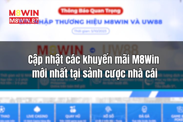 Cập nhật các khuyến mãi M8Win mới nhất tại sảnh cược nhà cái