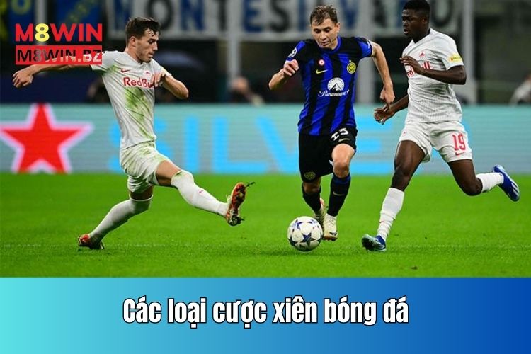 Các loại cược xiên bóng đá là gì chi tiết, đầy đủ